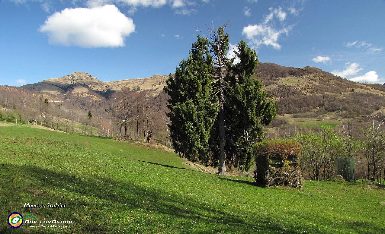 09 Prima di immergermi nel bosco, uno sguardo verso il Sodadura....JPG